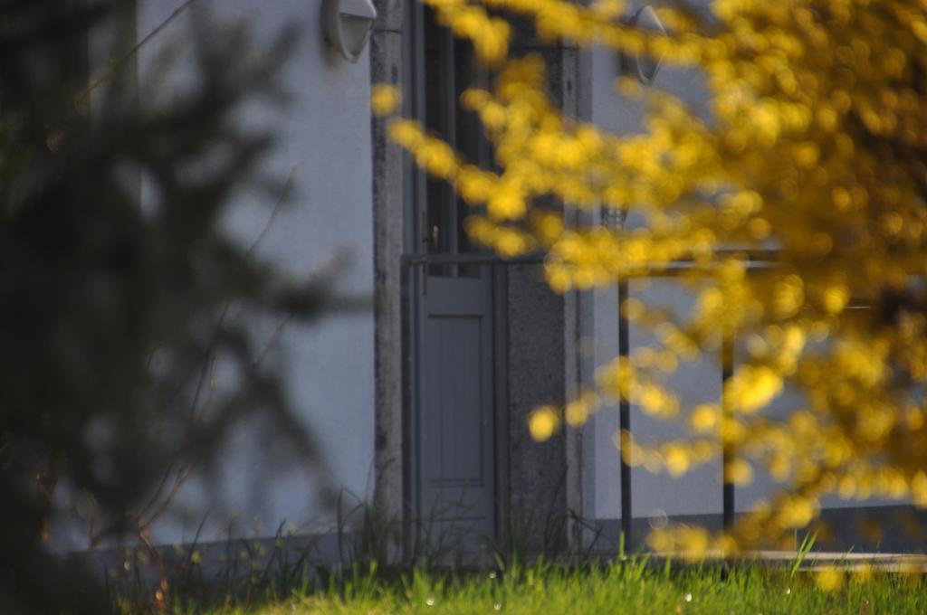 Ferienwohnung Alpenseepark Mondsee Eksteriør bilde